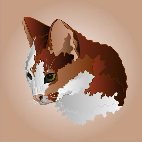 Kleur kitty hoofd vector — Stockvector