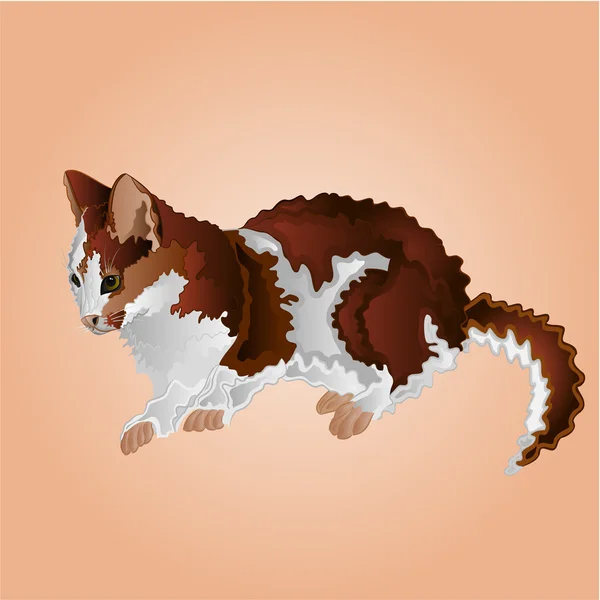 Tabby kitten vector — Stock Vector