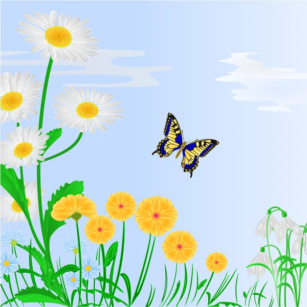 Spring flowers and butterfly blue background vector — Stock Vector
