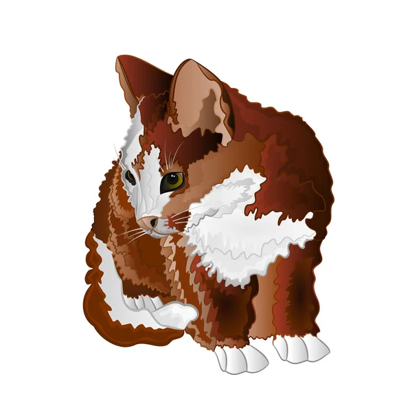 Kleine kitten kleur vector — Stockvector