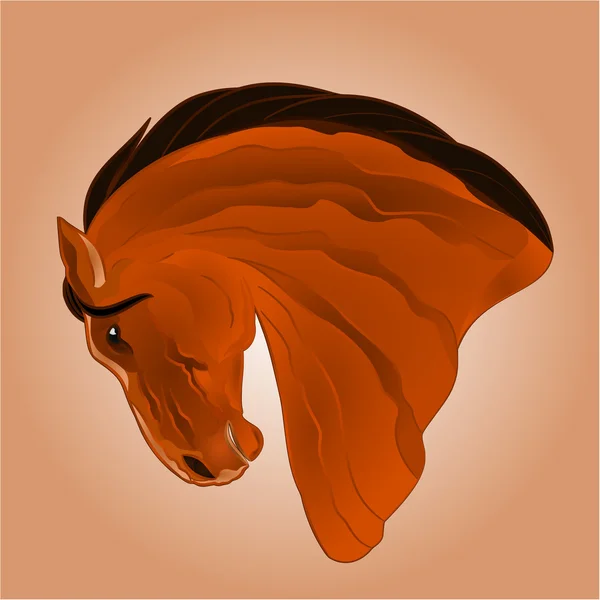 La cabeza del caballo semental marrón claro vector — Vector de stock