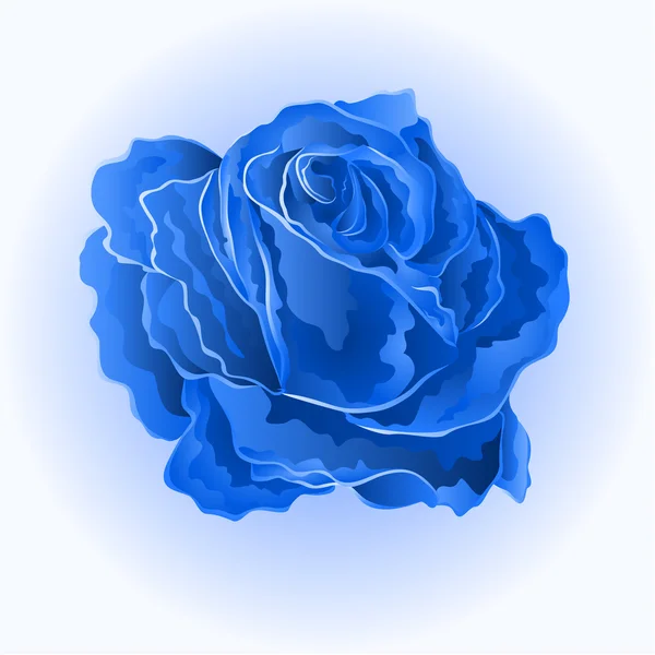 Kék Rózsa Flower vektor — Stock Vector
