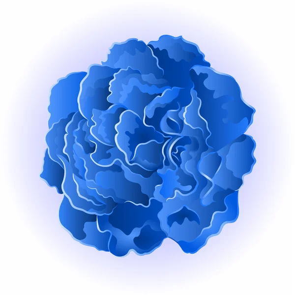 Blue flower rose vector — Stock Vector