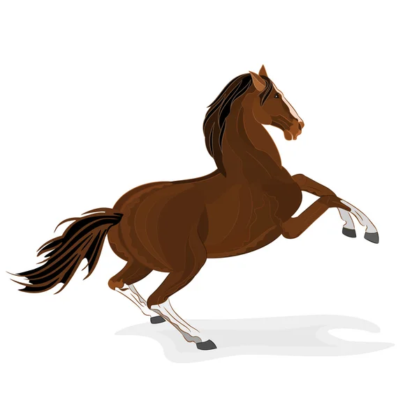 Vector caballo marrón — Vector de stock