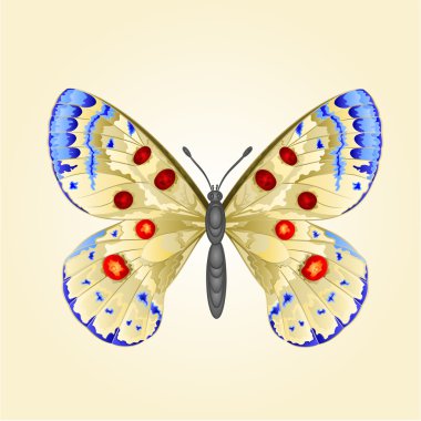 Kelebek parnassius vektör