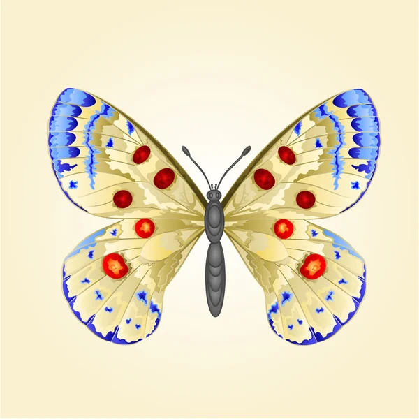 Vlinder parnassius vector — Stockvector