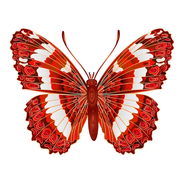 Mariposa Limenitis camilla vector — Archivo Imágenes Vectoriales