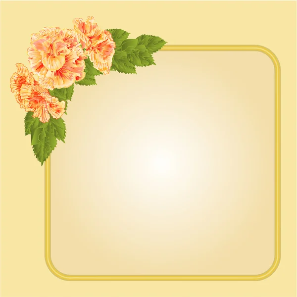 Golden frame with yellow hibiscus vector — Stock Vector