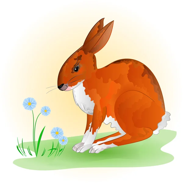 Vrolijke lente bunny vector — Stockvector