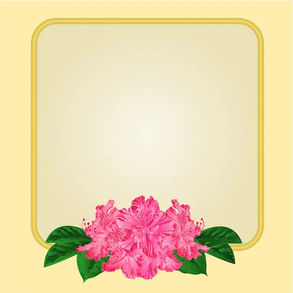 Rhododendron quadro dourado e vetor de jasmim —  Vetores de Stock