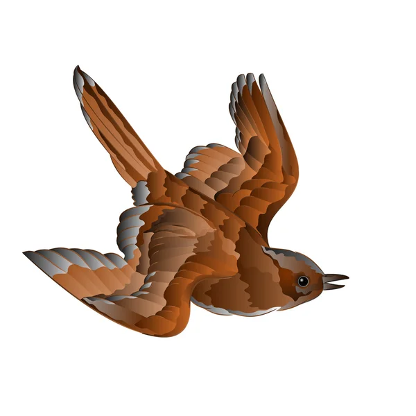 Gorrión pájaro en vuelo vector — Vector de stock