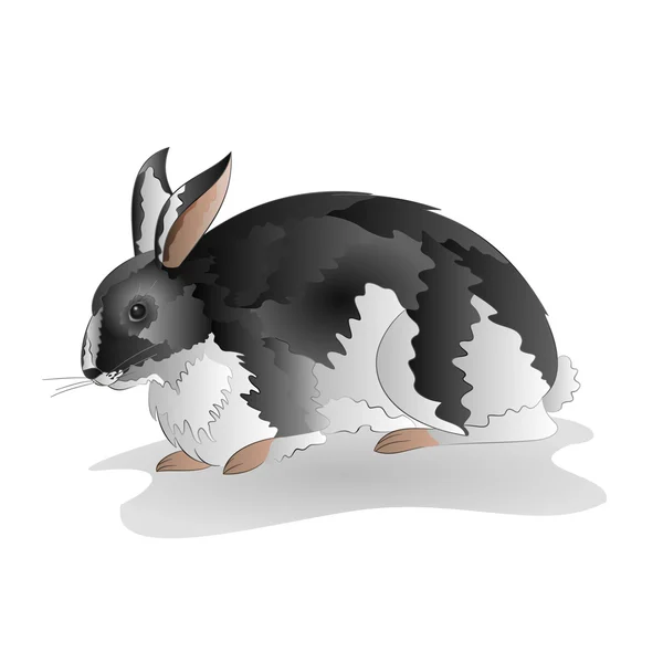 Mottled black and white rabbit vector — Stock Vector