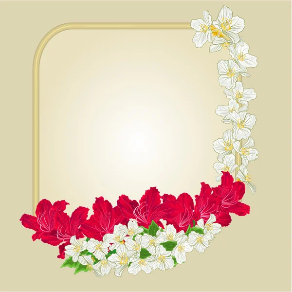 Frame red rhododendron and jasmine vector — Διανυσματικό Αρχείο