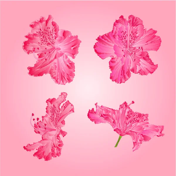 Pembe orman gülleri vektör