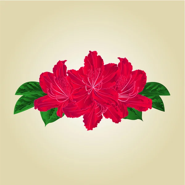 Kırmızı orman gülleri vektör buket