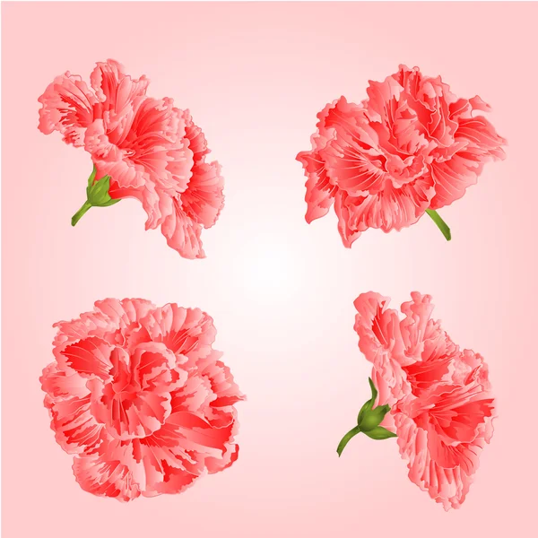 Pink hibiscus flowers vector — Stock Vector