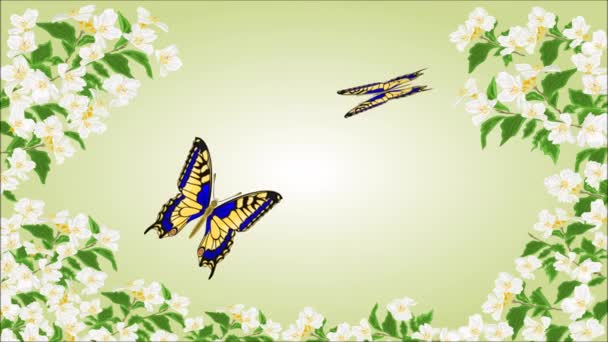 Cauda de andorinha / Inachis io / borboletas em jasmim — Vídeo de Stock