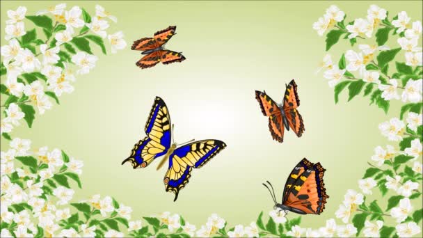 Schmetterlinge Schwalbenschwanz und Vanessa in Jasminbäumen — Stockvideo