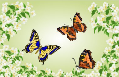 Yasemin ağaçlar vektörde Swallowtail ve Vanessa kelebekler