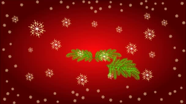 Couronne de l'Avent avec vidéo poinsettia blanche 