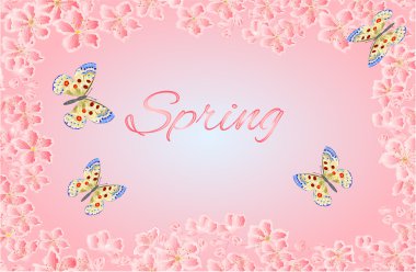 Parnassius kelebek ve sakura çiçekleri vektör