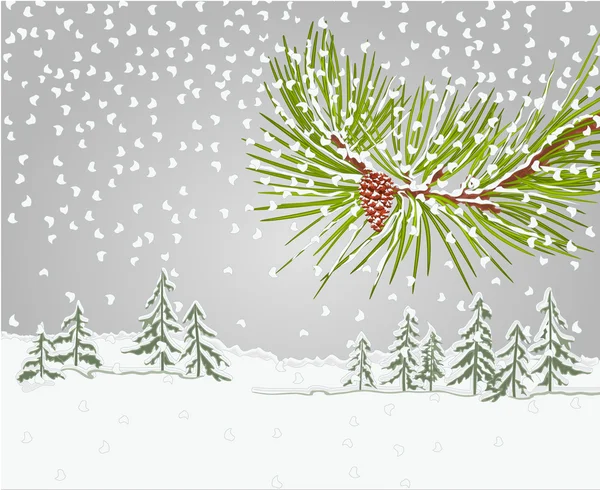 Winter pine tak met sneeuw en pine cone Kerstmis thema vector — Stockvector