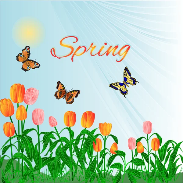 Wiosennych kwiatów tulipany i motyle wektor — Wektor stockowy
