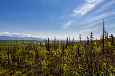 Kuzey orman manzara. Tayga ve Ufuktaki dağlar.