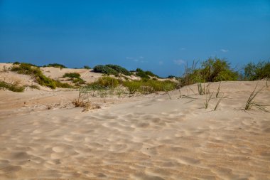 Dunes Karadeniz kıyısında