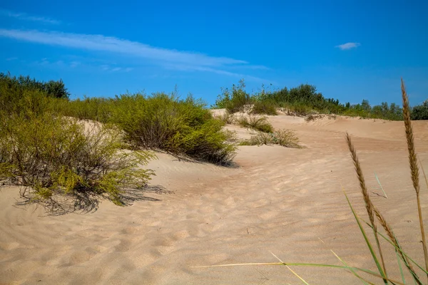모래 언덕의 발자국 — 스톡 사진