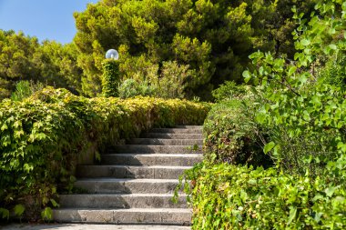 Yeşilliklerle çevrili bir taş merdiven