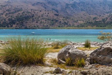 Kournas gölün kıyısında. Yunanistan. Crete