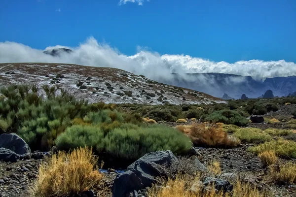 A természet, a Teide Nemzeti Park. Tenerife. Kanári-szigetek. Spanyolország — Stock Fotó