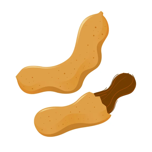 Vector Stock av Tamarind frukt — Stock vektor