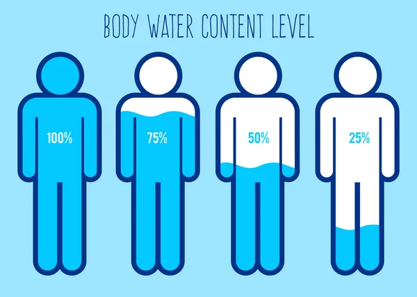 Nível de conteúdo de água no gráfico do corpo humano —  Vetores de Stock