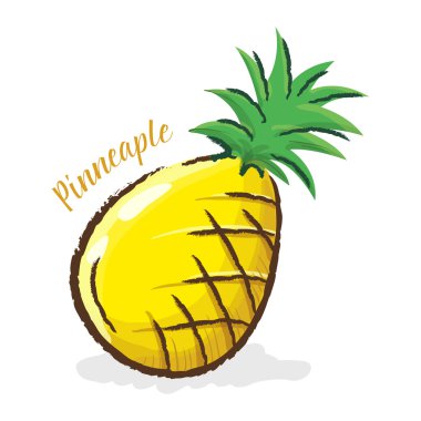Pineaple illüstrasyon