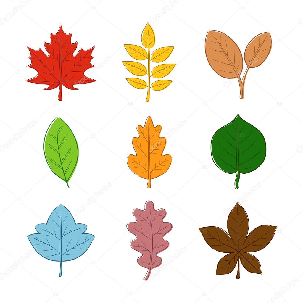 Various Autumn Leaf Hand Drawing