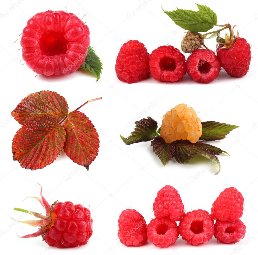 Raspberries and leaves set