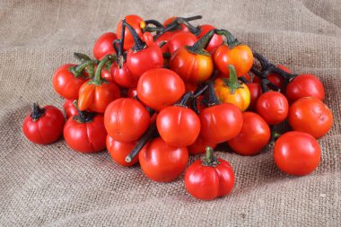 Etiyopya patlıcan (Afrika patlıcan, Solanum aethiopicum, acı domates, nakati) poşetleme üzerine