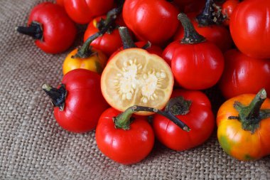 Etiyopya patlıcan (Afrika patlıcan, Solanum aethiopicum, acı domates, nakati) poşetleme üzerine