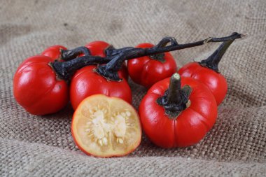 Etiyopya patlıcan (Afrika patlıcan, Solanum aethiopicum, acı domates, nakati) poşetleme üzerine