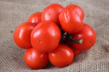 Etiyopya patlıcan (Afrika patlıcan, Solanum aethiopicum, acı domates, nakati) poşetleme üzerine
