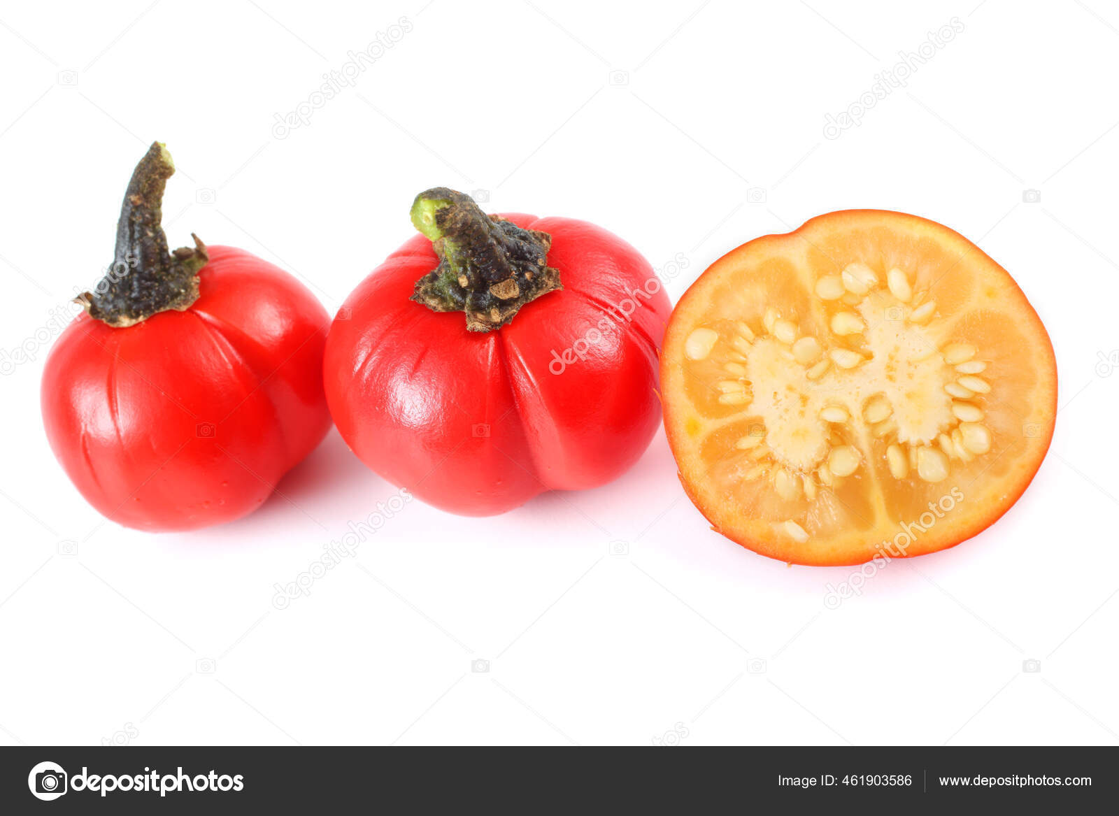 Ethiopian Eggplant African Eggplant Solanum Aethiopicum Bitter Tomato
