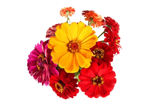 Bouquet of zinnias. Unusual angle photography