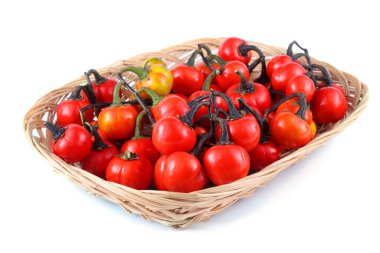 Etiyopya patlıcan (Afrika patlıcan, Solanum aethiopicum, acı domates, nakati)