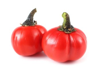 Etiyopya patlıcan (Afrika patlıcan, Solanum aethiopicum, acı domates, nakati)