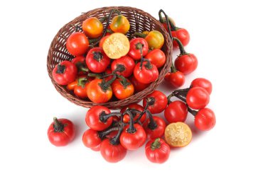 Etiyopya patlıcan (Afrika patlıcan, Solanum aethiopicum, acı domates, nakati)