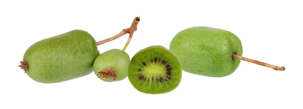 Aktinidia arguta (Hardy kiwi, Sibirya bektaşi üzümü, küçük kiwimeyve veya bebek mini kivi olarak da bilinir) beyaz üzerine izole edilmiştir. Çok detaylı, HDR, yüksek çözünürlüklü