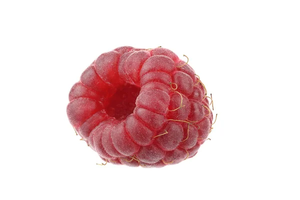 Red Raspberry White Very Detailed — Stock Photo, Image