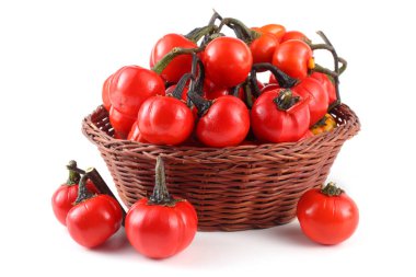 Etiyopya patlıcan (Afrika patlıcan, Solanum aethiopicum, acı domates, nakati)